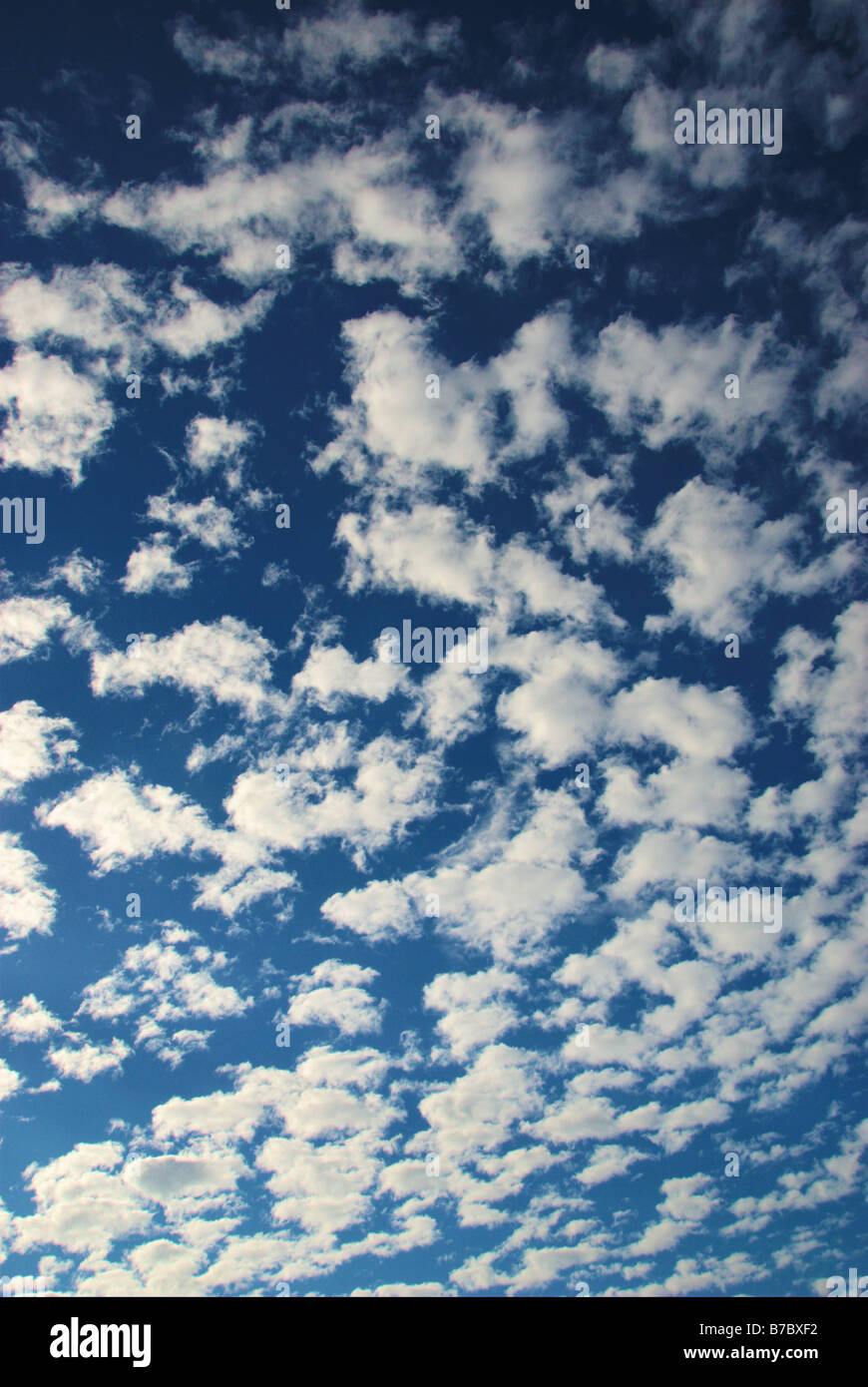Flauschige weiße Wolken gegen ein strahlend blauer Himmel Stockfoto