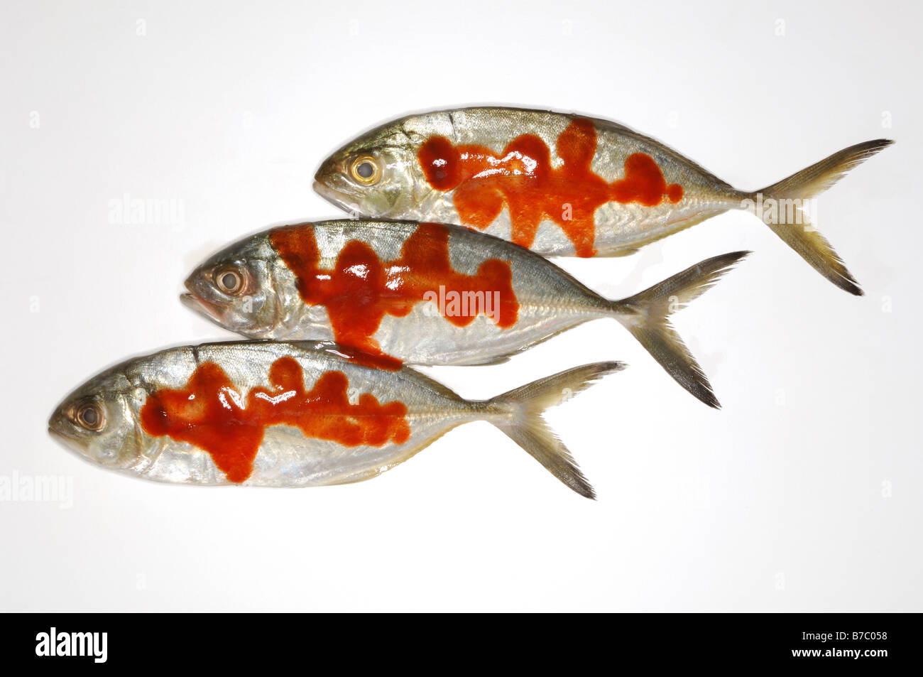 Drei ganze Fische mit roter heiße würzige Soße Stockfoto