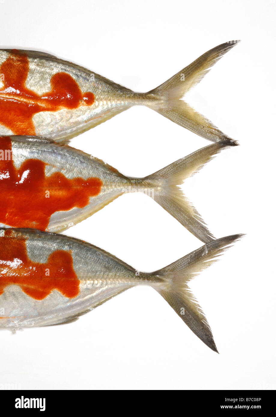 Drei ganze Fischschwänzen mit roten heißen pikanter sauce Stockfoto