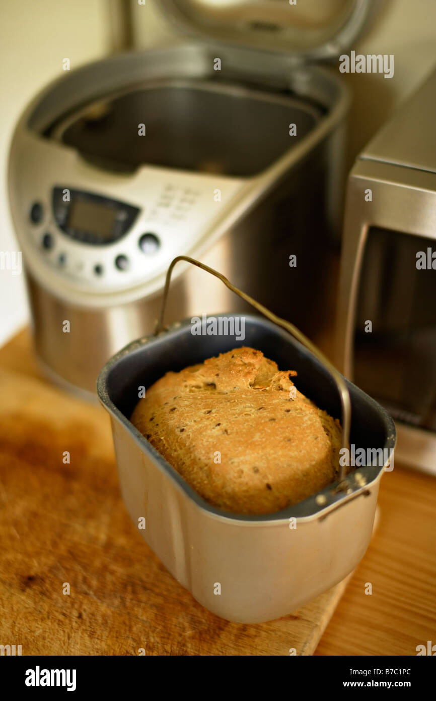 Frisches Brot zu Hause im Brotbackautomaten gemacht Stockfoto