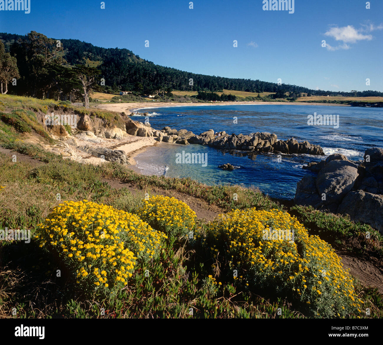 Pazifik-Küste nördlich von Point Lobos State Park CARMEL Kalifornien Stockfoto