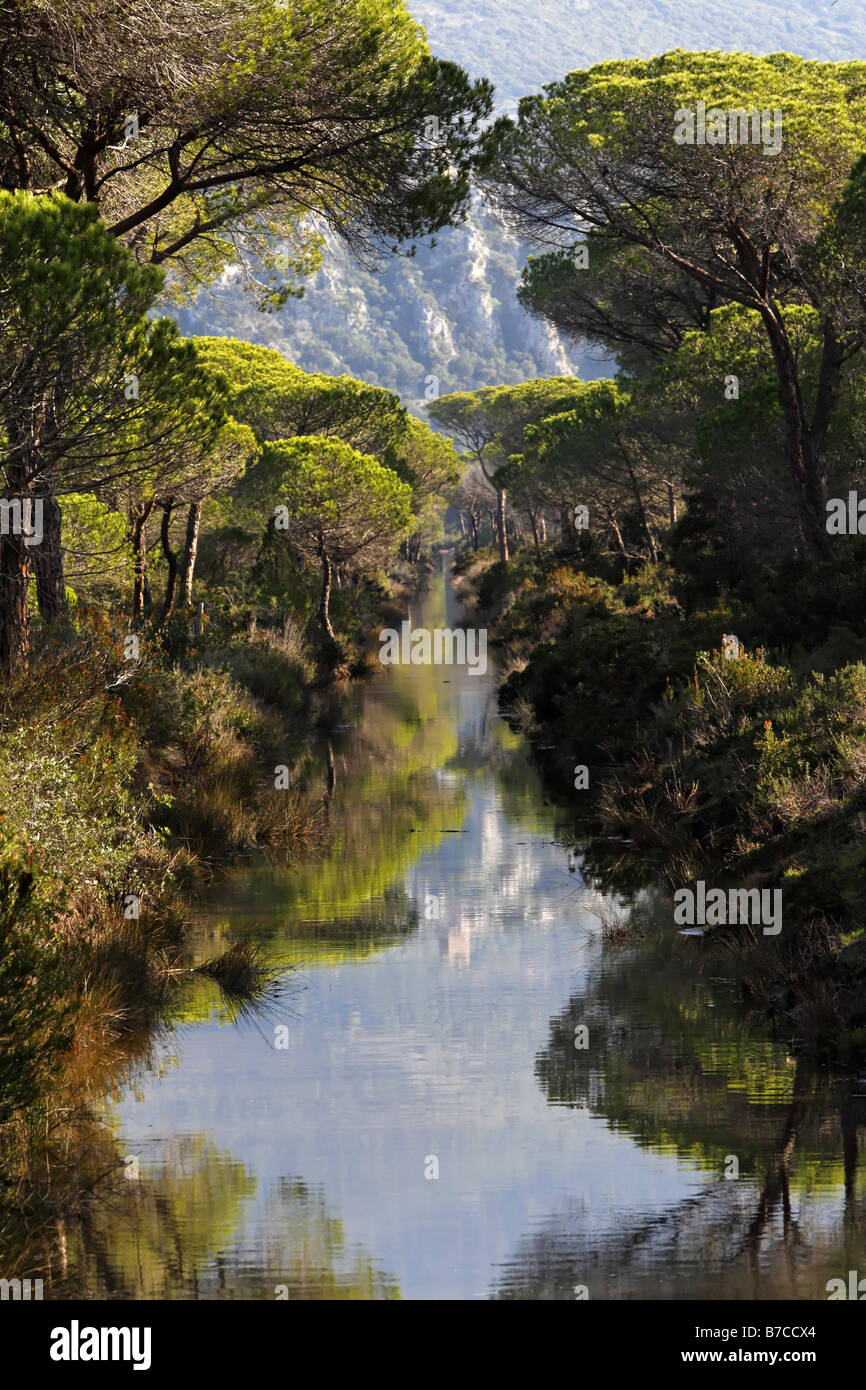 Bäume und Wasser-Strom-Landschaft der Maremma Toskana Italien Stockfoto