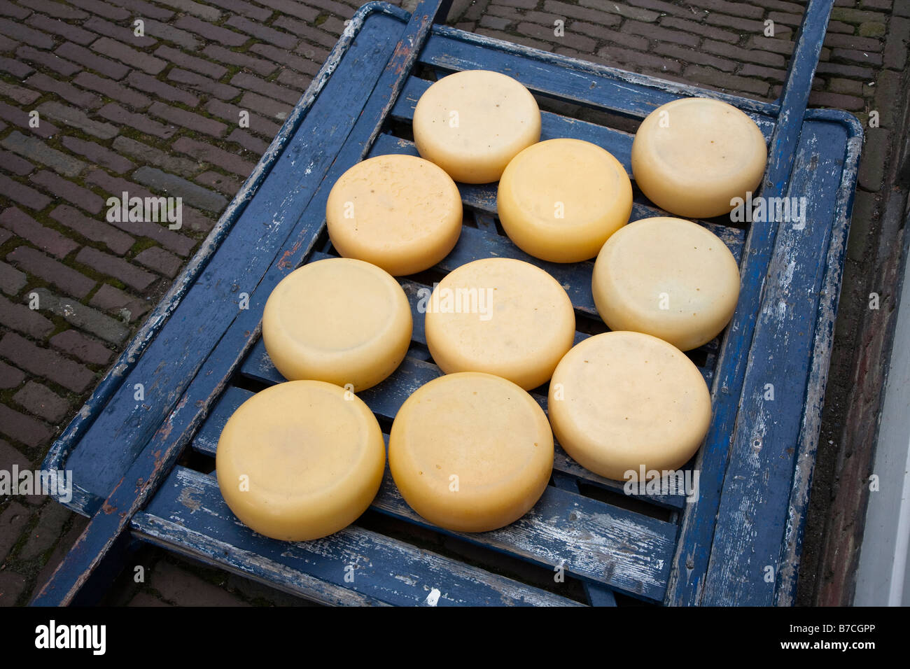 Käse auf Schlitten Niederlande Stockfoto