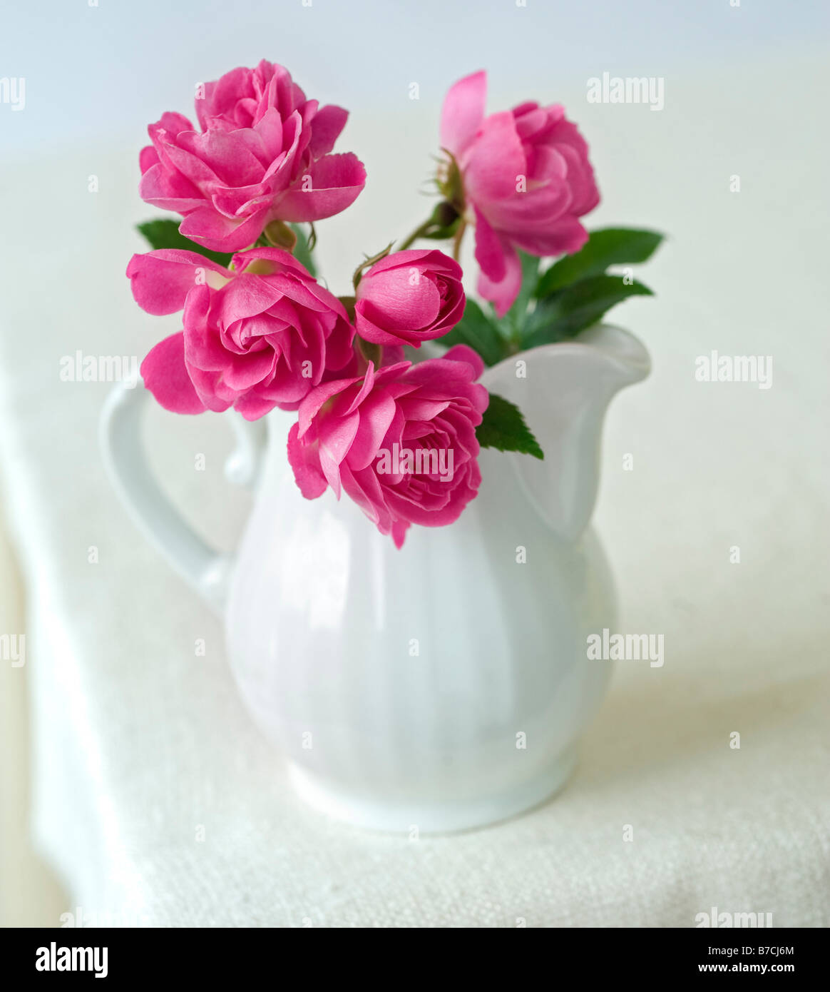 kleinen Rosenstrauß in einen Krug Keramik Milch Stockfoto