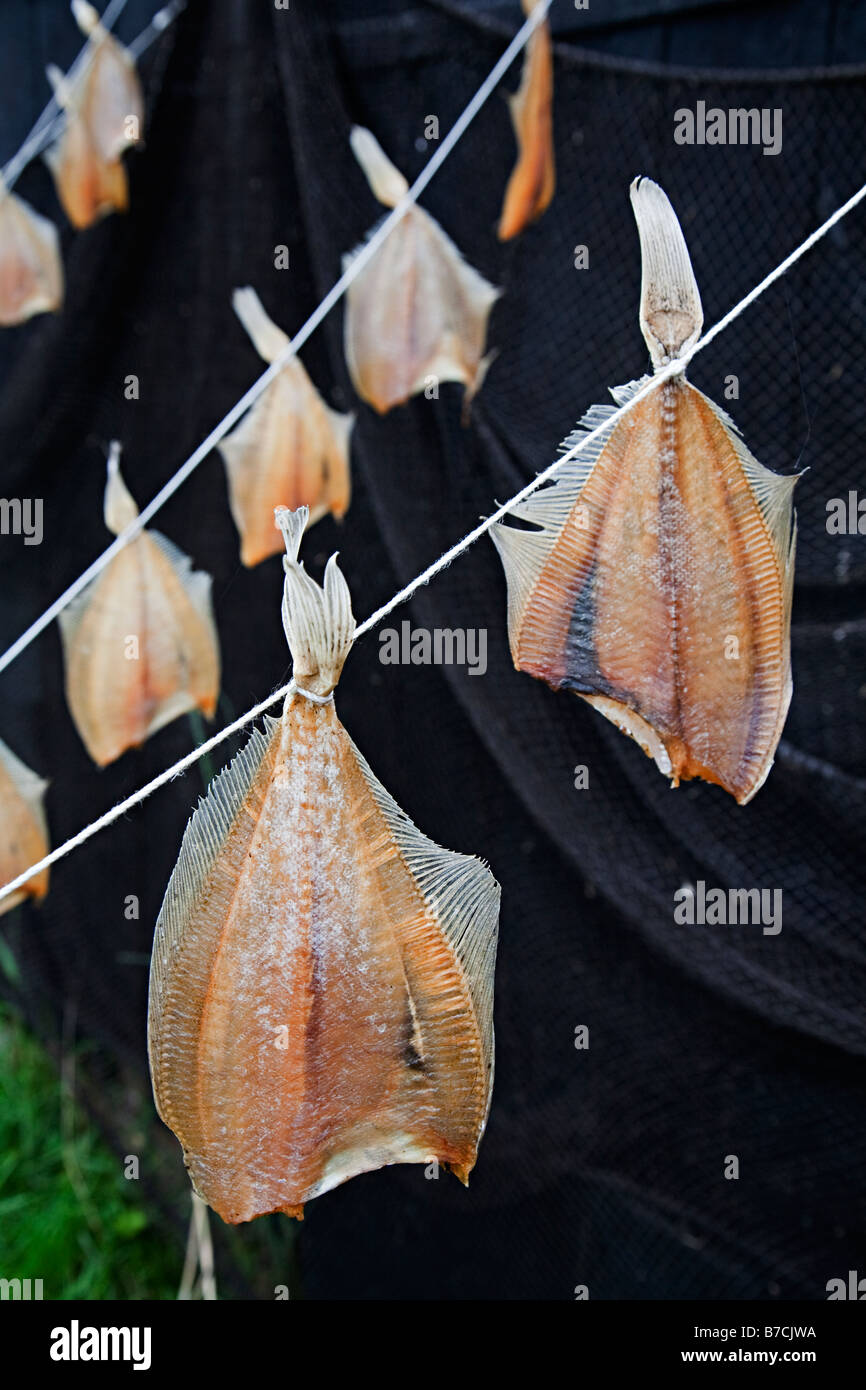 Fische hängen zum Trocknen Zuiderzeemuseum Enkhuizen Niederlande Stockfoto
