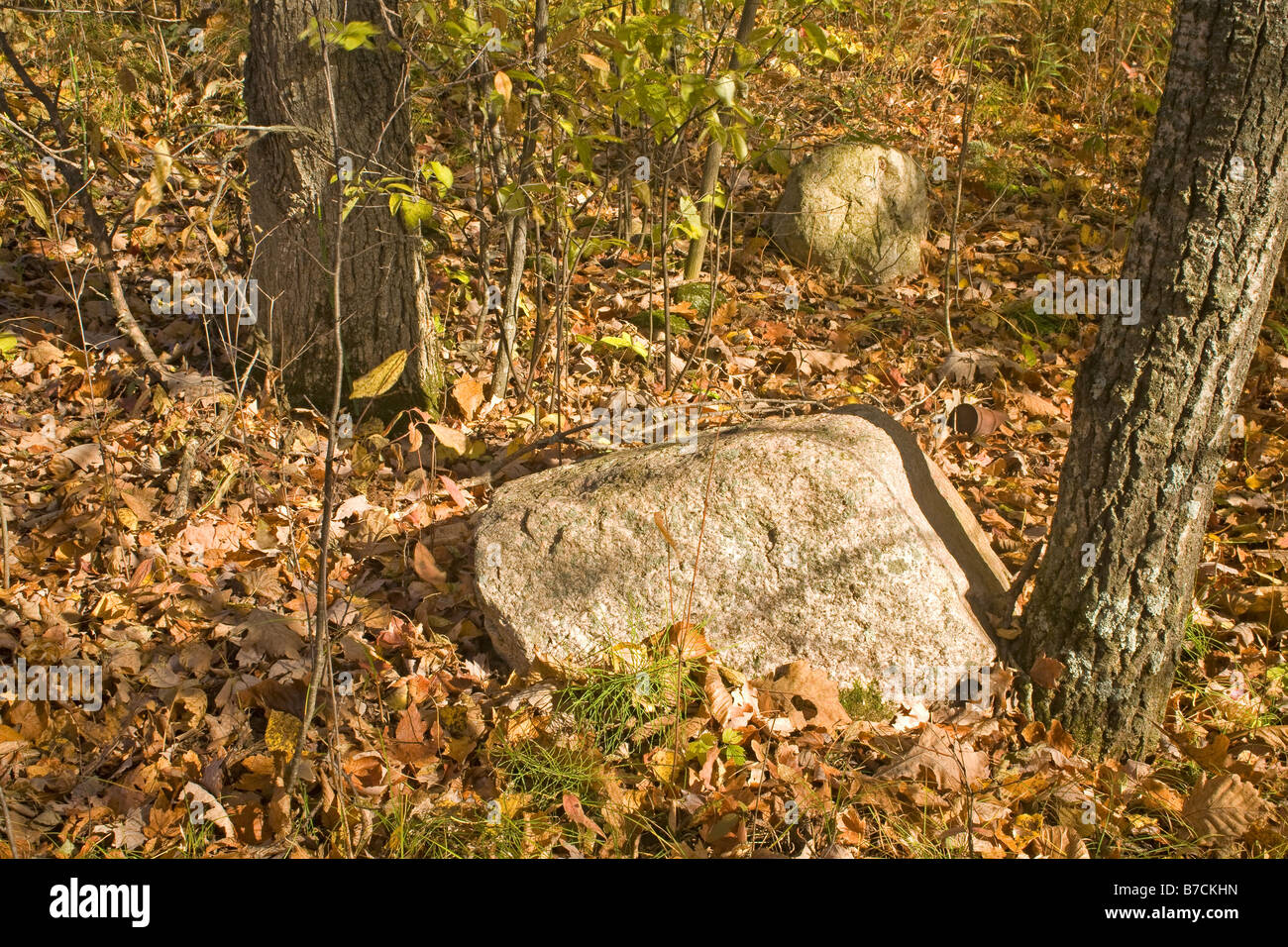 WISCONSIN - Eiszeit befindet sich entlang der Eiszeit National Scenic Trail in den Emmons Creek Fischerei- und Wilderness Area unberechenbar. Stockfoto