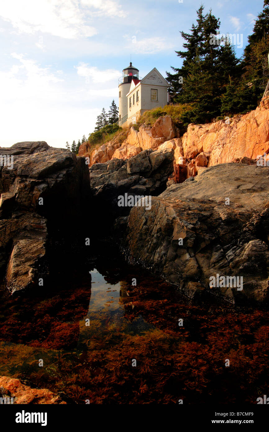 Bass Harbor Head Leuchtturm Licht Stockfoto