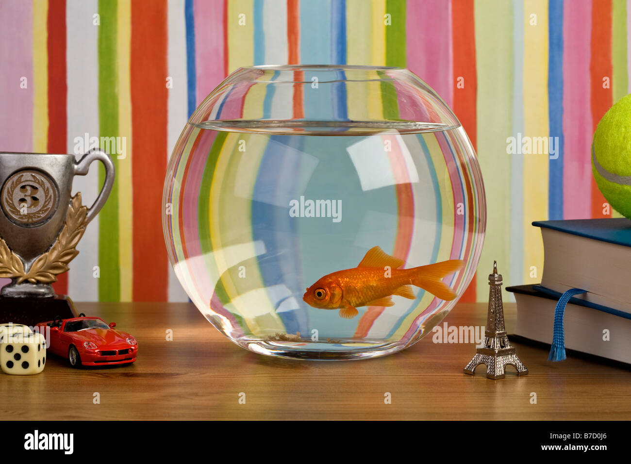 Ein Goldfisch in einem Goldfischglas auf einem Tisch mit verschiedenen Knick Geschicklichkeit Stockfoto