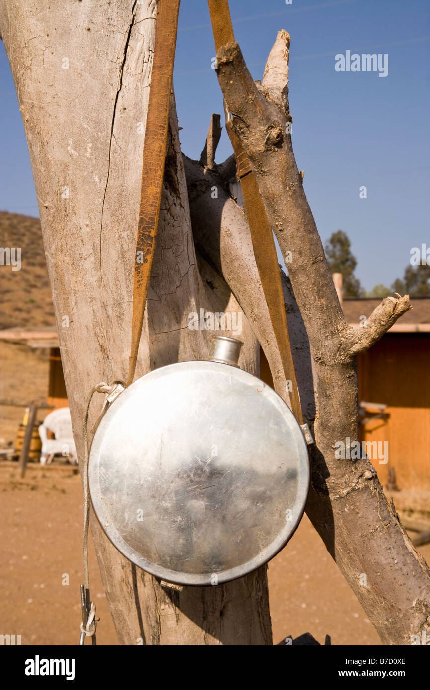 Ein Metall Wasserbehälter an einem Baum hängen Stockfoto