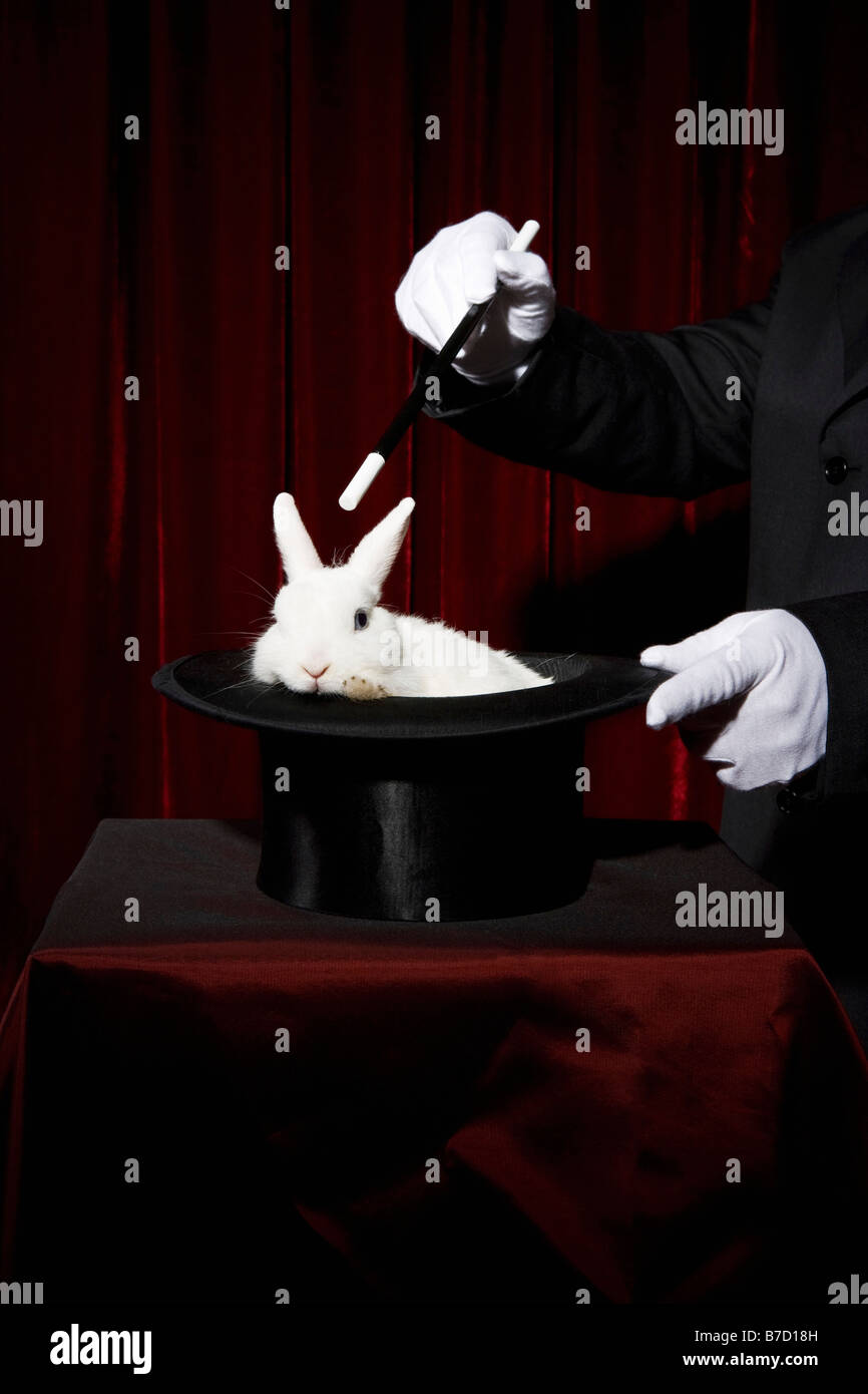Die behandschuhten Hände eines Magiers Durchführung einen Zaubertrick mit einem Kaninchen in einen Zylinder Stockfoto