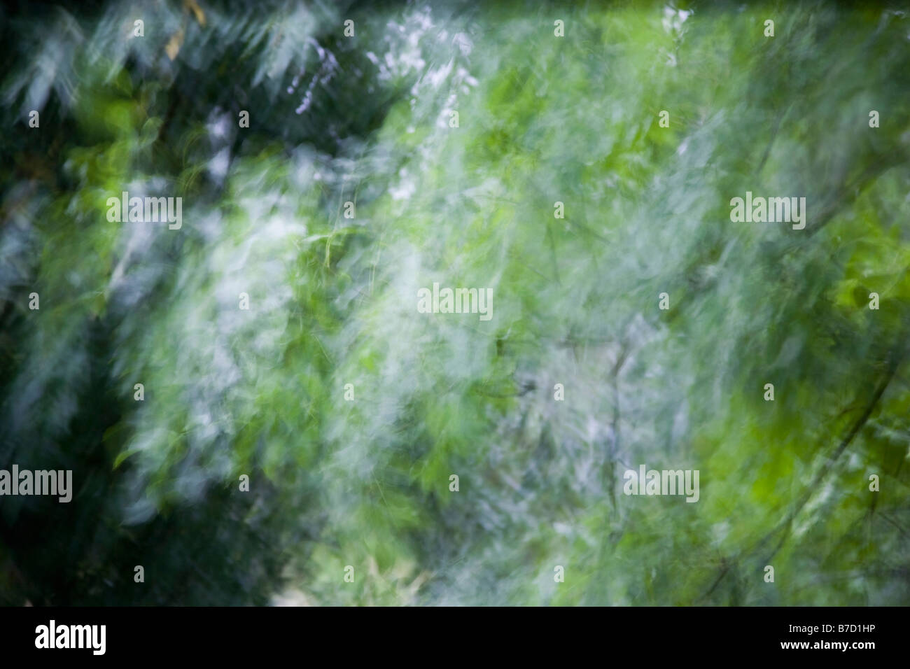 Ein Gewitter in einem Garten, Winzenheim, Deutschland Stockfoto