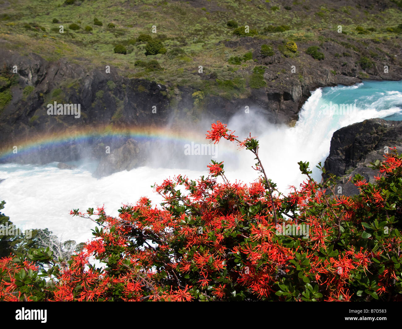 Regenbogen und Firebush am Salto Grande Wasserfall, Torres del Paine Nationalpark, Patagonien, Chile, Südamerika Stockfoto