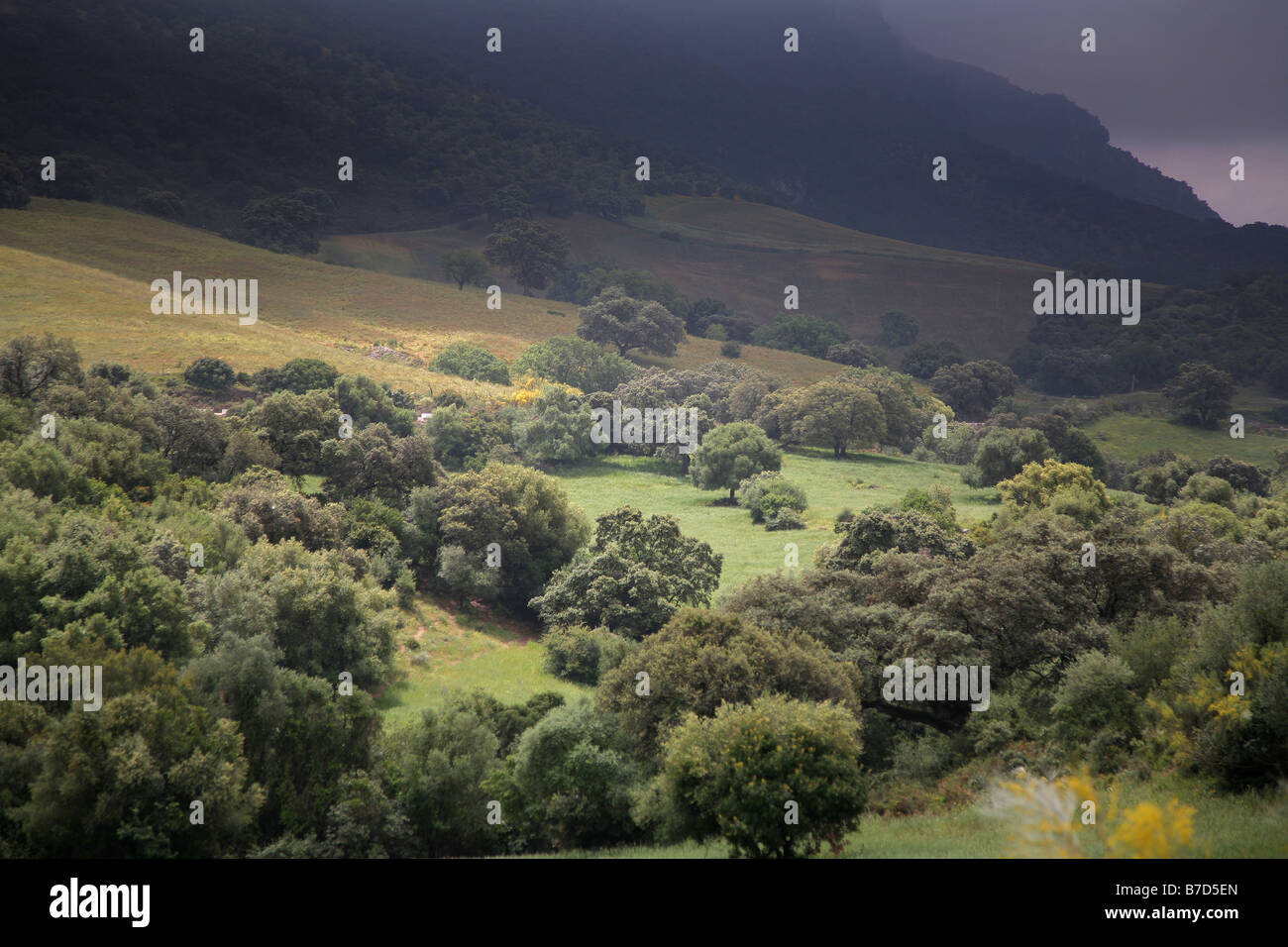 Andalusien im Landesinneren scape Stockfoto