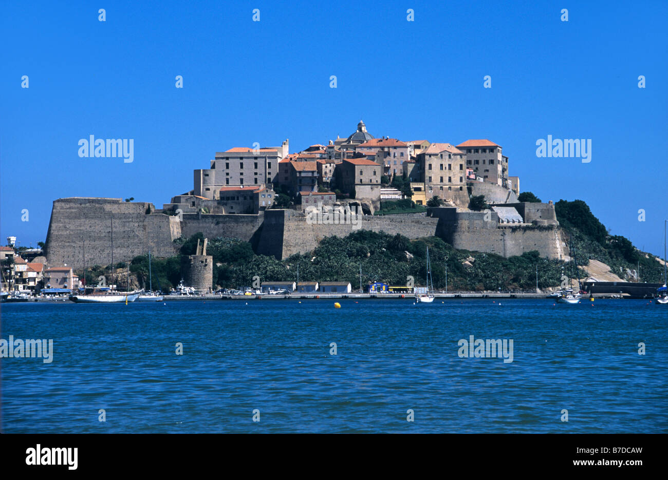 Zitadelle von Calvi oder Festung, Calvi, Korsika, Frankreich Stockfoto