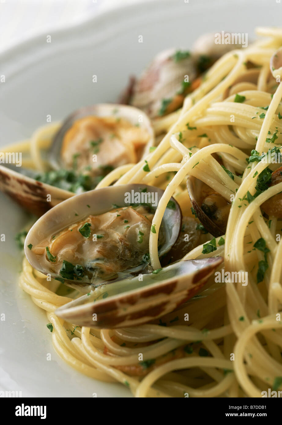 Spaghetti Vongole Bianco Stockfoto