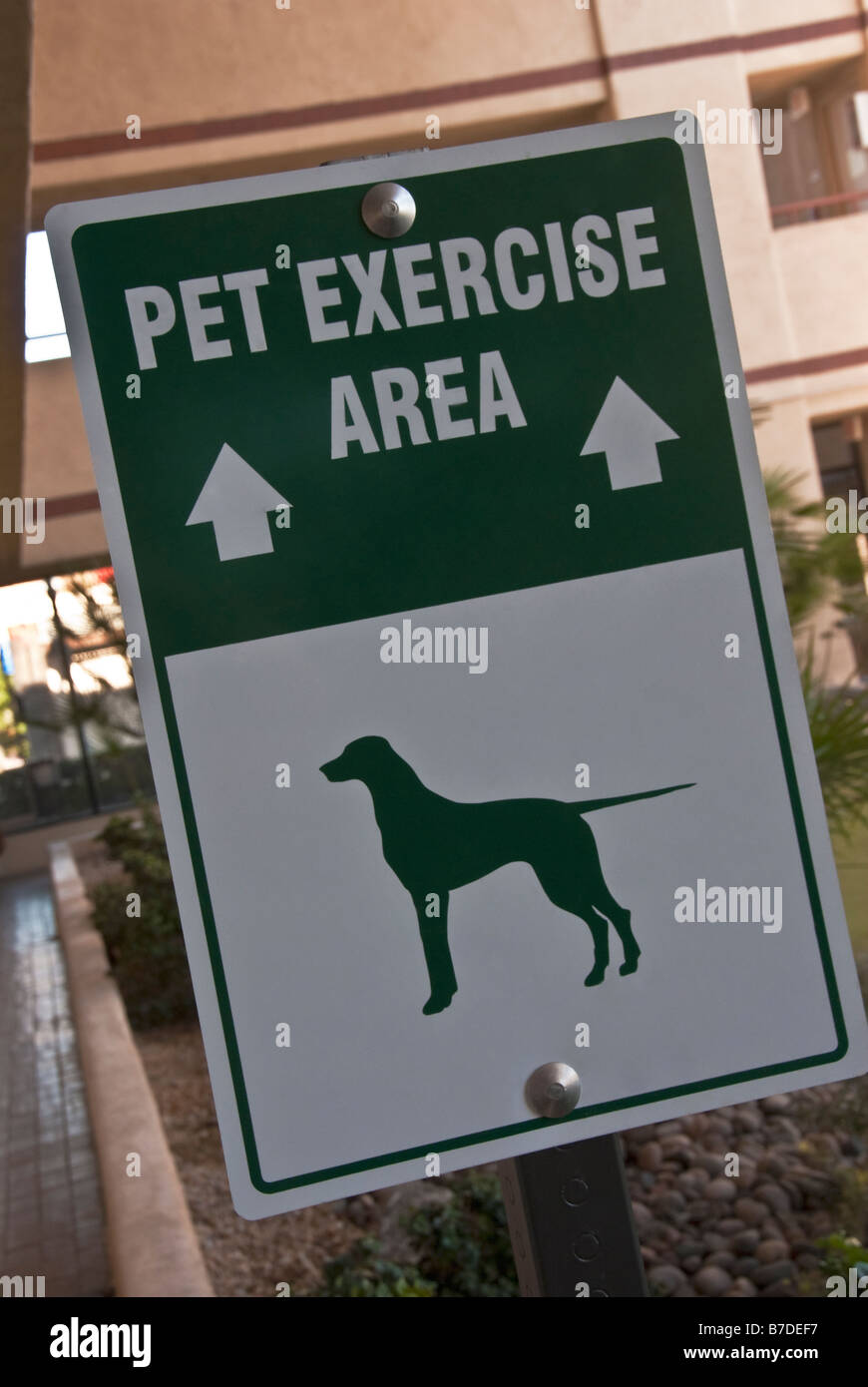 Haustier Übungsbereich White unterzeichnen Green Dog Stockfoto