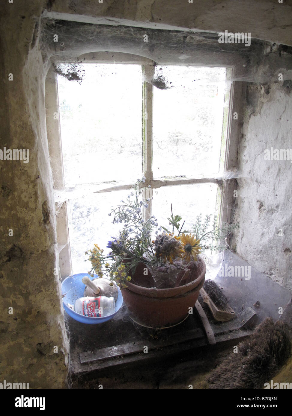 Tote Blumen am Fenster der Hütte Stockfoto