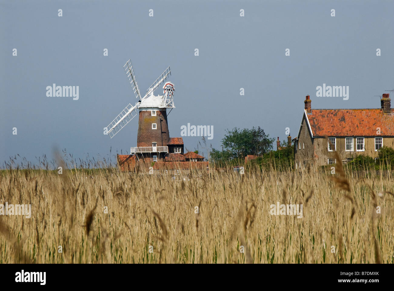 A Blick über die Sümpfe zu Cley Mill und Cley als nächstes das Meer, Norfolk. UK Stockfoto