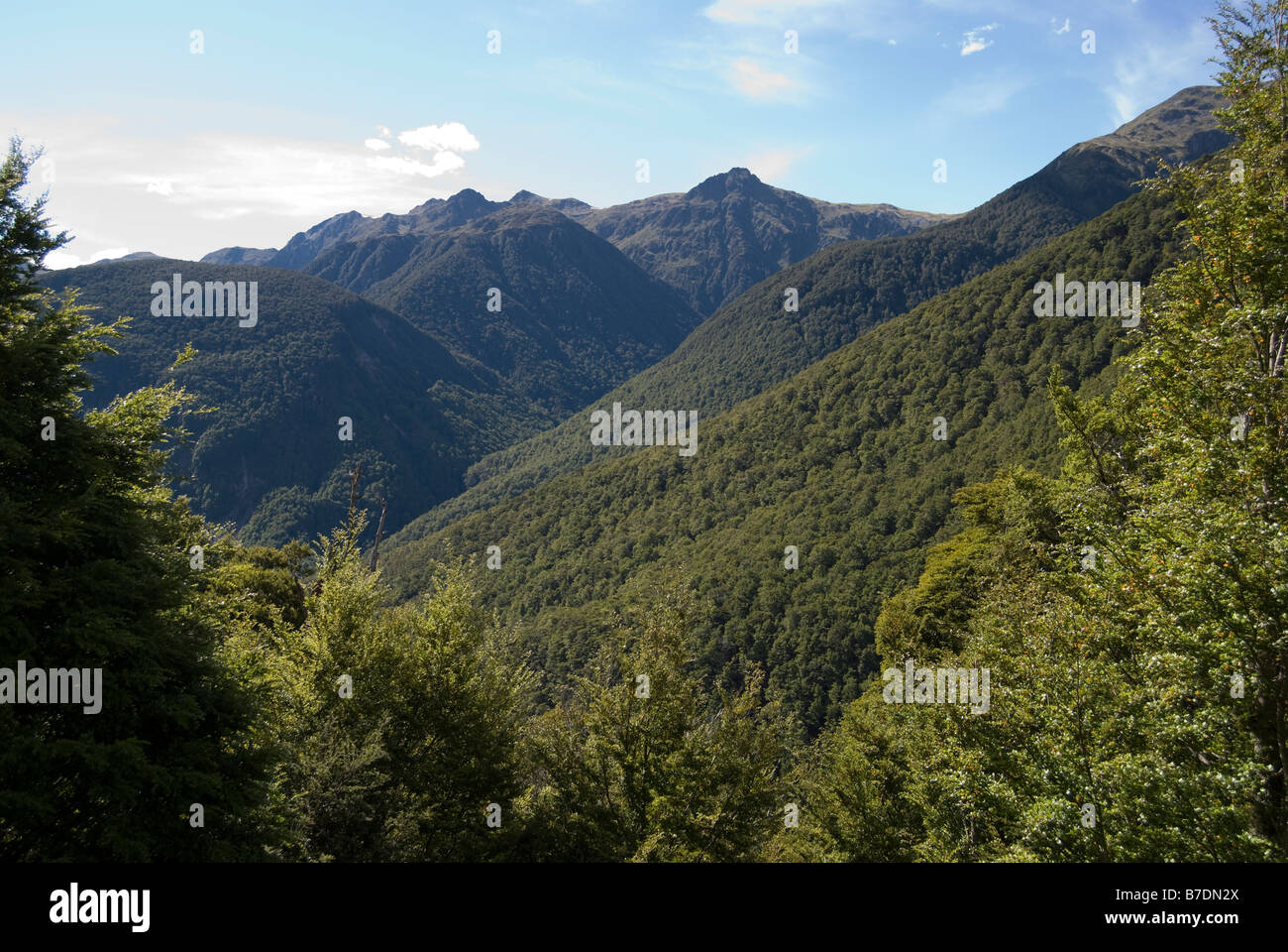 Ansicht der Südalpen vom State Highway 7, Lewis Pass, Buller Region West Coast, Neuseeland Stockfoto