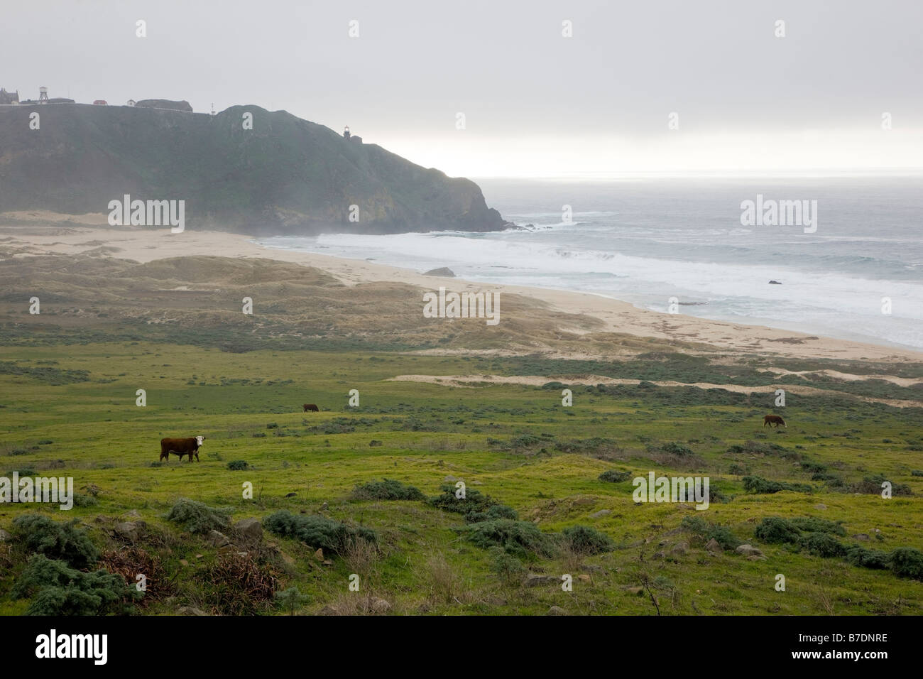 Pazifikküste und Point Sur State Historic Park, ehemals der Point Sur Marine Facility (NAVFAC), Kalifornien, USA Stockfoto
