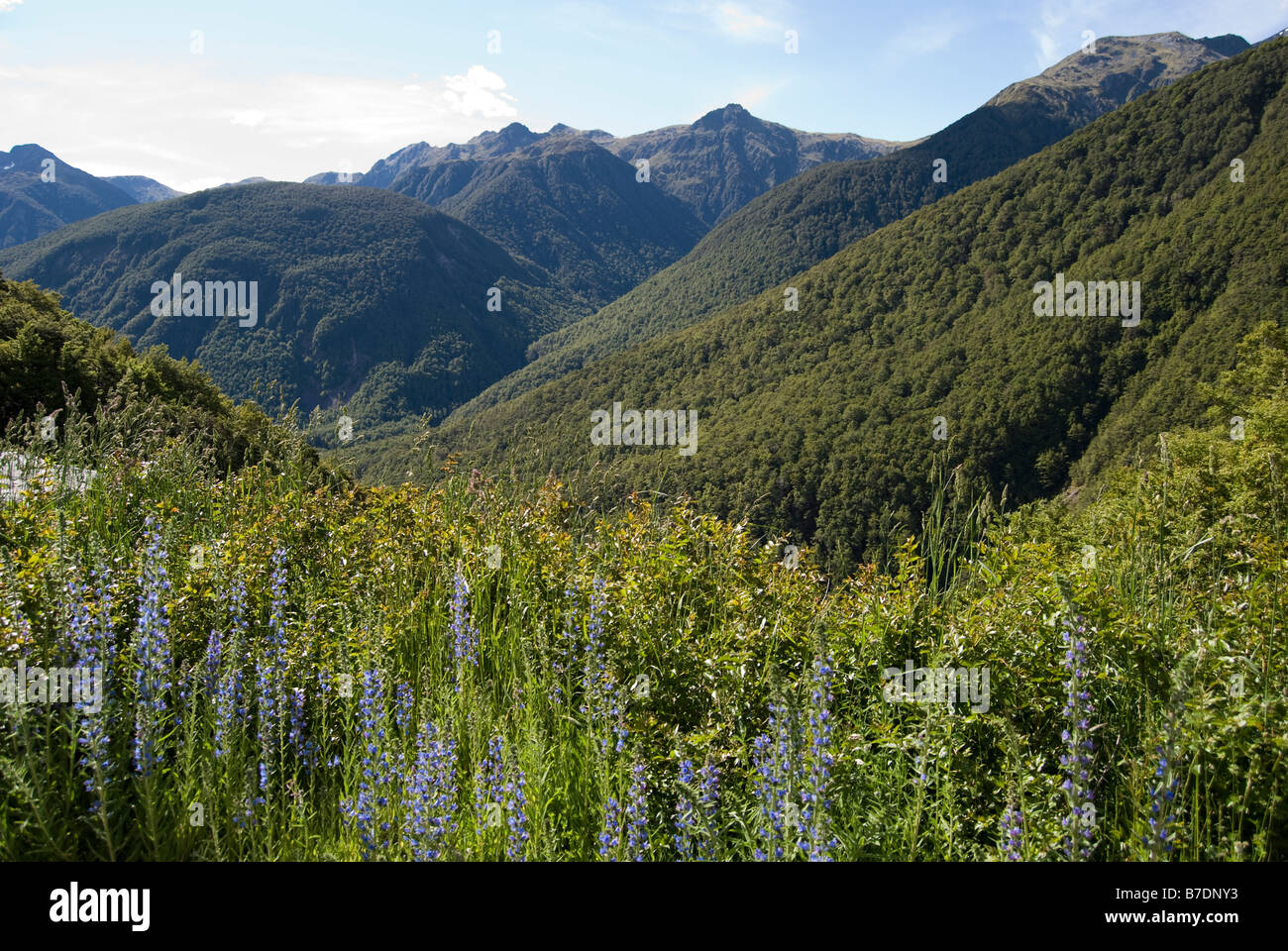 Blick auf die südlichen Alpen vom State Highway 7, Lewis Pass, West Coast Region, South Island, Neuseeland Stockfoto