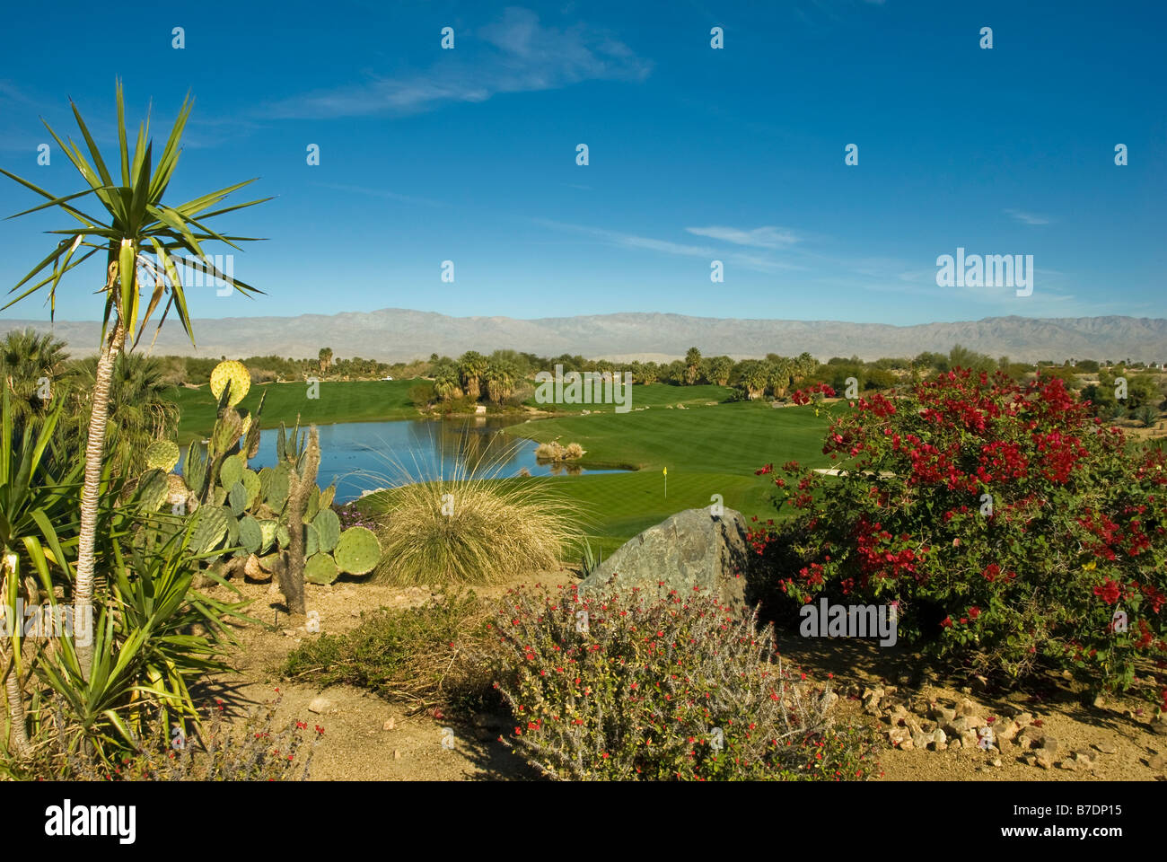 Wüste Weide Golf Resort Palm Desert CA in der Nähe von Palm Springs Golf Flagge grün Flaggenstock Fairway Wasser Western uns Kalifornien Scenic Stockfoto