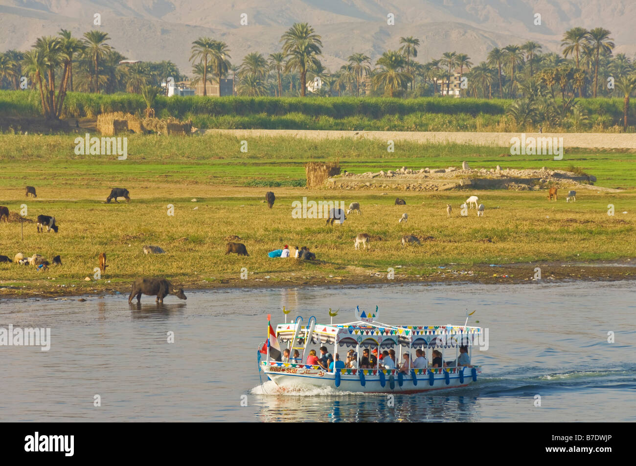 Typischen bemalten hölzernen motor Taxi cruise Tourenboot auf dem Fluss Nil in der Nähe von Luxor Ägypten Nahost Stockfoto