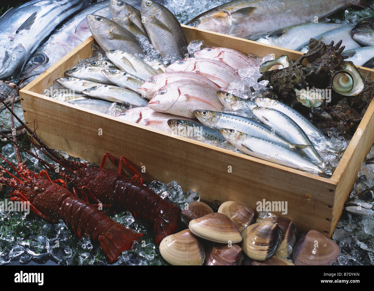 Fischereierzeugnisse Stockfoto