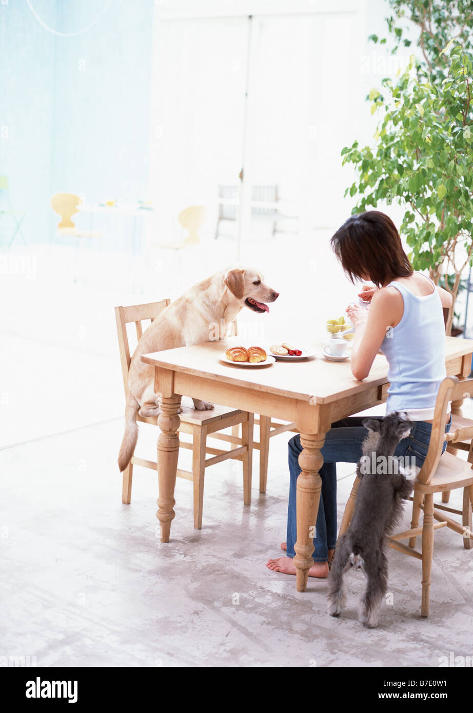 Frau, die Frühstück mit Hund Stockfotografie - Alamy