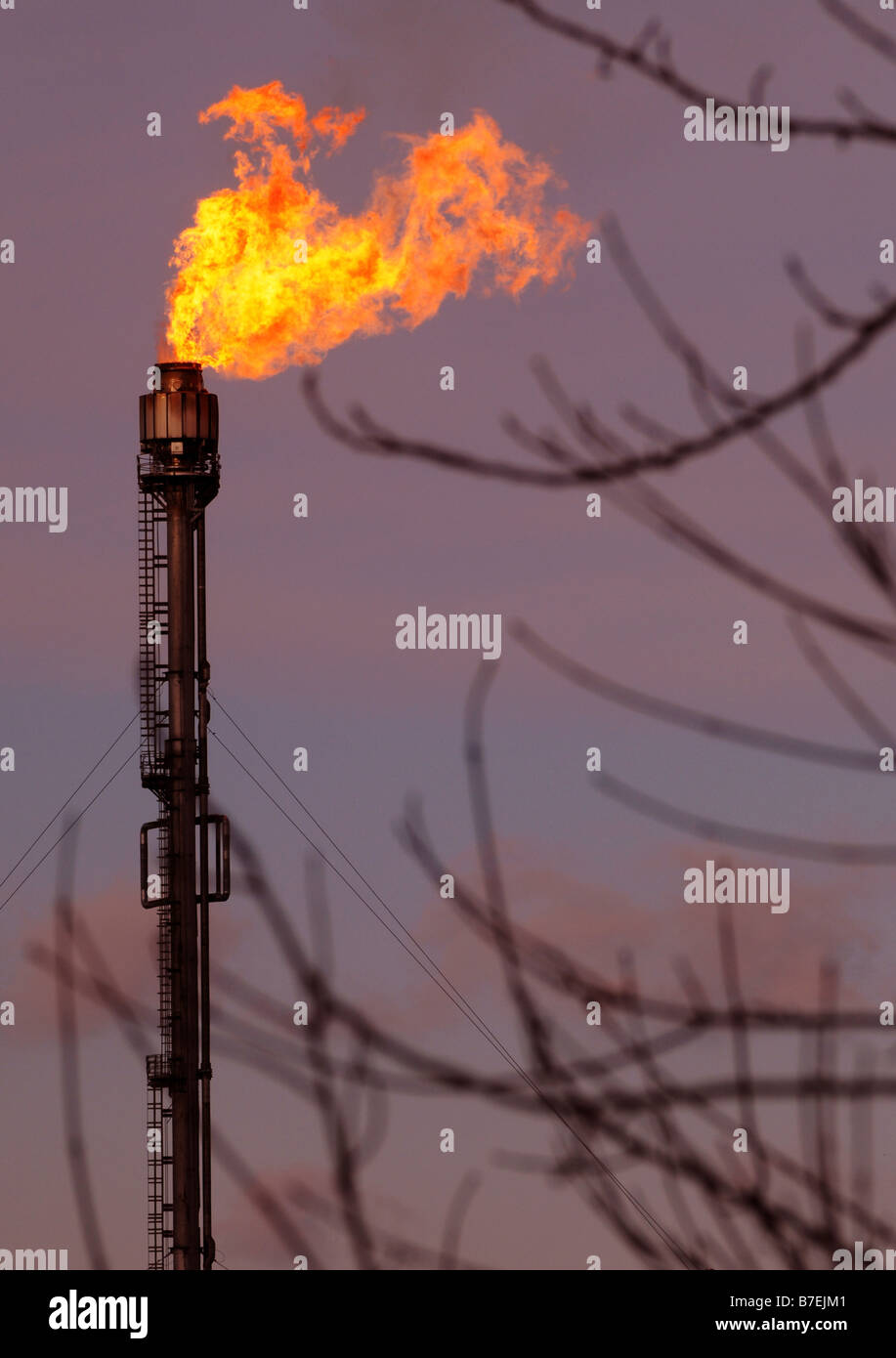 Gase verbrennen bei ICI Wilton Chemiefabrik Teeside England TS90 8JE Stockfoto