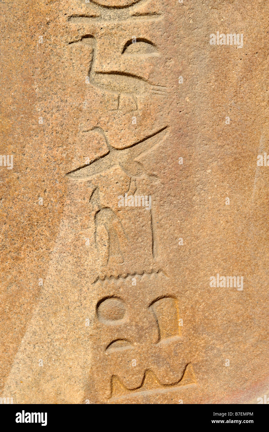 Ägyptische Hieroglyphen für Hittite, Tanis, Ägypten 081111 31922 Stockfoto
