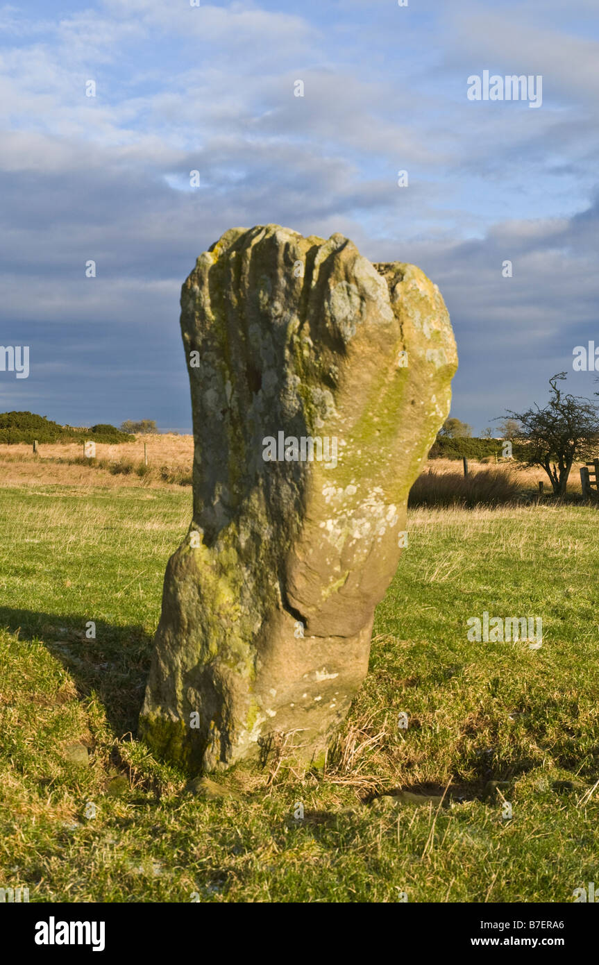 Dh Krieger Stein TYNEDALE NORTHUMBRIA Jungsteinzeit Bronzezeit Standing Stone monolith ingoe Stockfoto