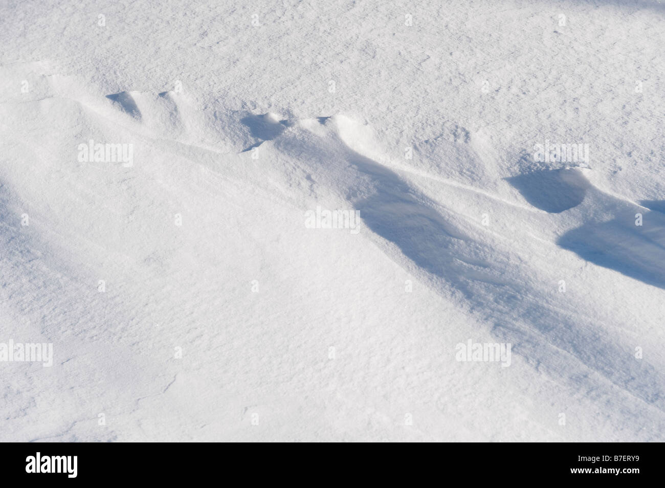 Snow Drift Stockfoto