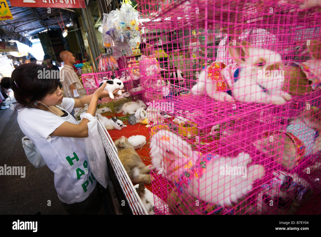 Mädchen betrachten Baby Kaninchen zum Verkauf auf einer Tierhandlung Stall am Chatuchak Weekend Market in Bangkok Thailand Stockfoto