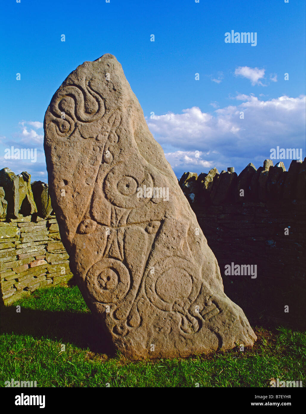 Aberlemno I (The Serpent Stone), Aberlemno, Schottland, Großbritannien. Ein piktischer Symbolstein aus dem siebten Jahrhundert nach Christus Stockfoto