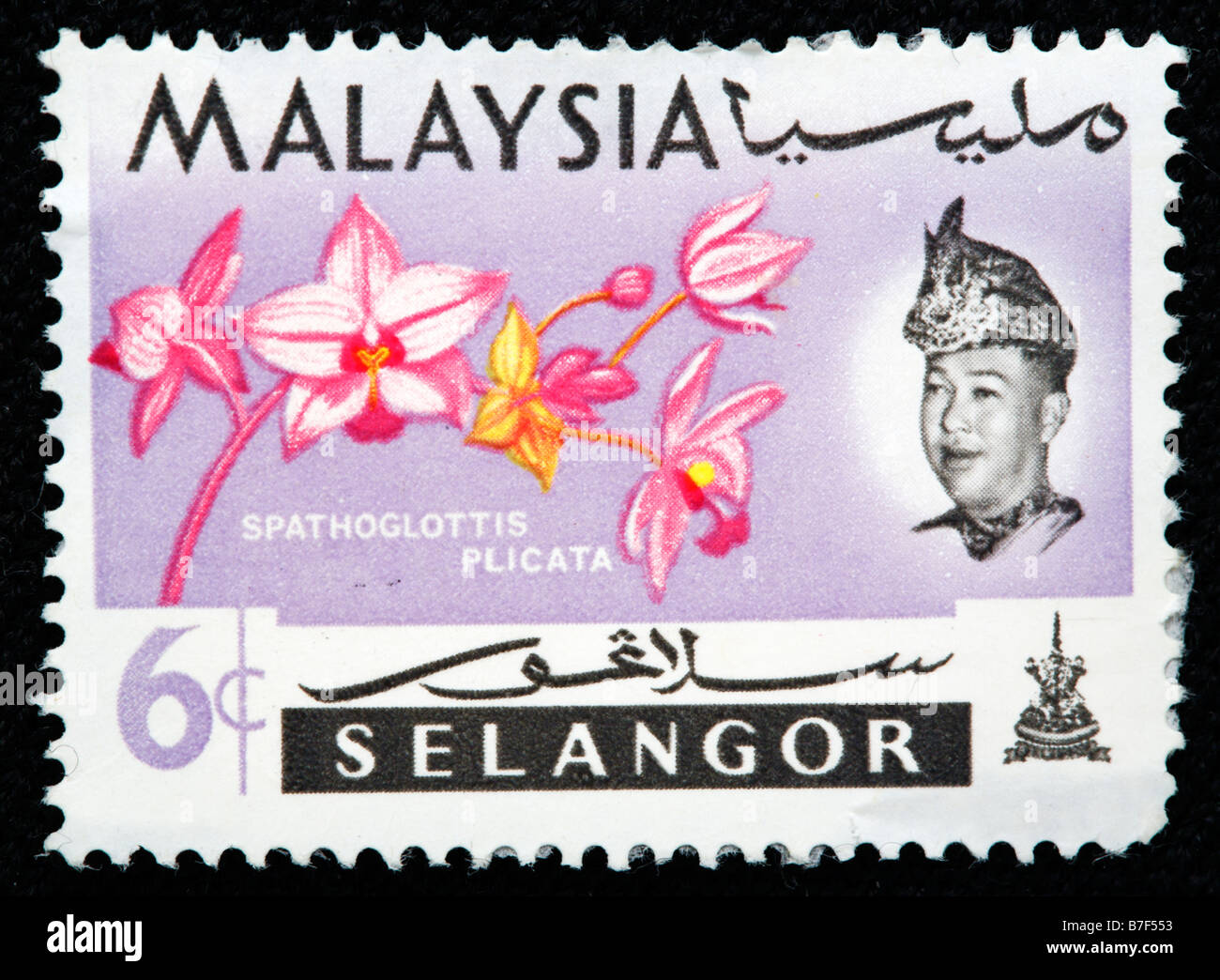 Spathoglottis Plicata, Blume, Briefmarke, Malaysia, Selangor Stockfoto