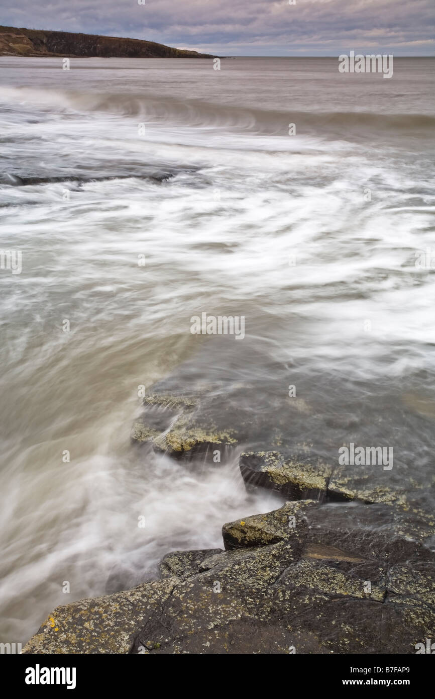 Rock-Regal an der Northumbrian Küste in der Nähe von Howick und Craster, Northumberland, England Stockfoto