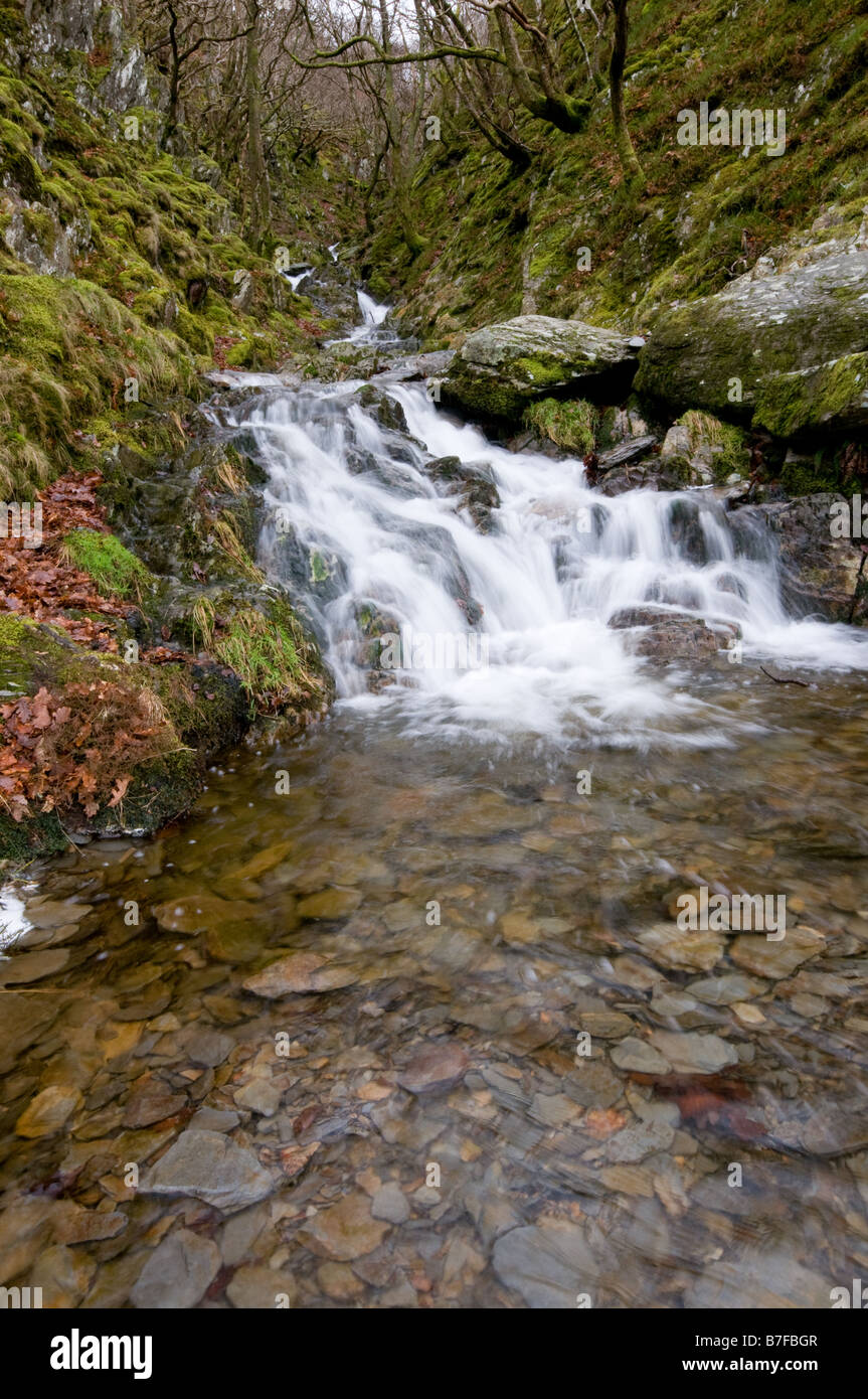 Kleinen Wald Wasserfall Bach Bach Bäume Felsen Wasser ruhigen beschaulichen Wales U.K. Stockfoto
