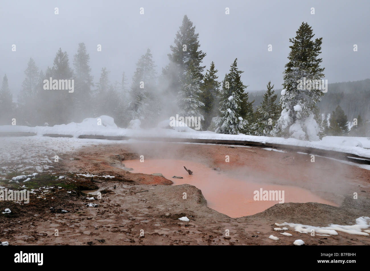 Dampfenden Thermalquelle im Winter. Der Yellowstone Nationalpark, Wyoming, USA. Stockfoto