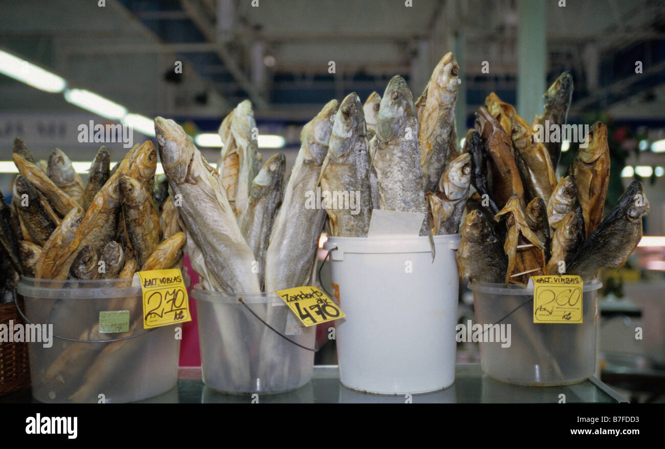 Fische zeigen im Zentralmarkt in Riga Lettland Stockfoto