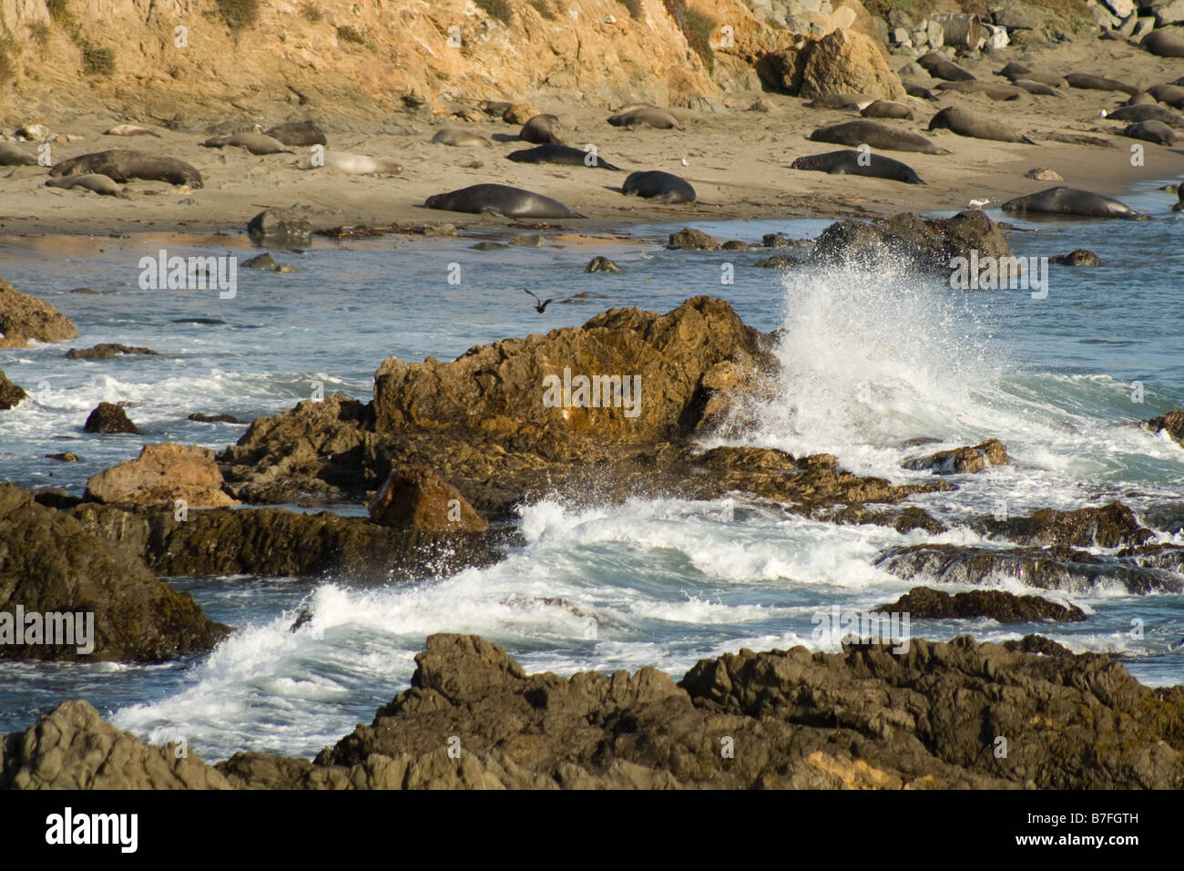 San Simeon in der Nähe der See-Elefant Rookery, Kalifornien Küste, Big Sur Stockfoto