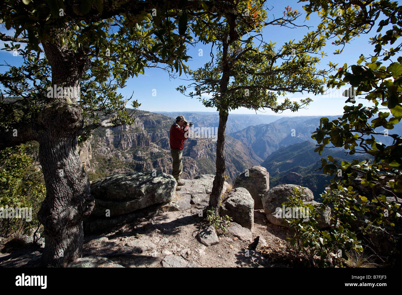 Divisadero Suche Kupfer Canyon Chihuahua Mexiko Stockfoto