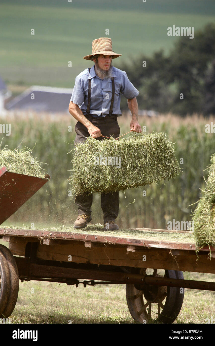 Amischen Farmer, Lancaster County, Pennsylvania, USA Stockfoto
