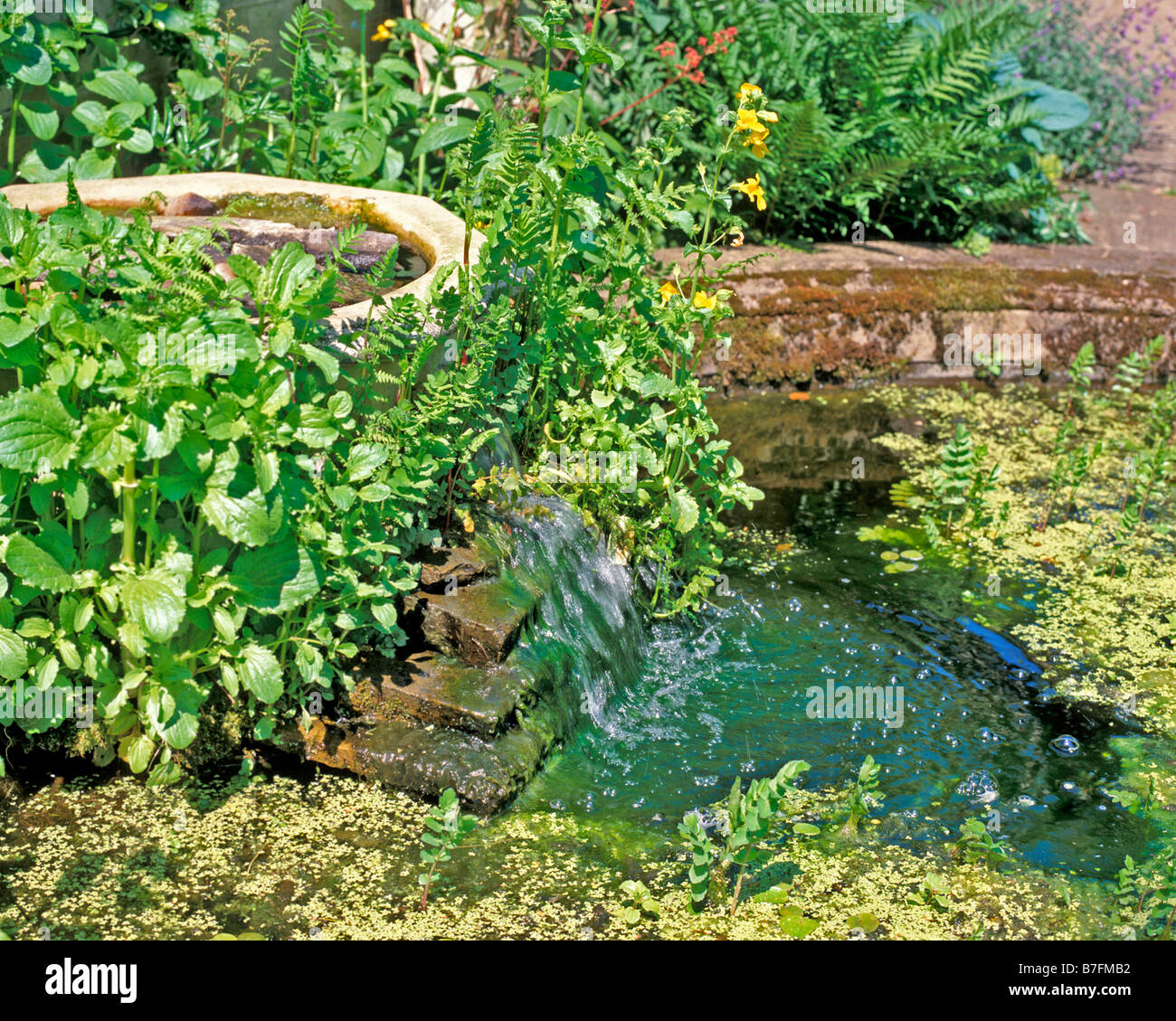 Kleiner Gartenteich Stockfotos und -bilder Kaufen - Alamy