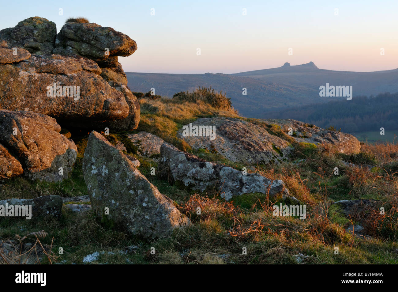 Blick Richtung Haytor Rocks auf Dartmoor Stockfoto