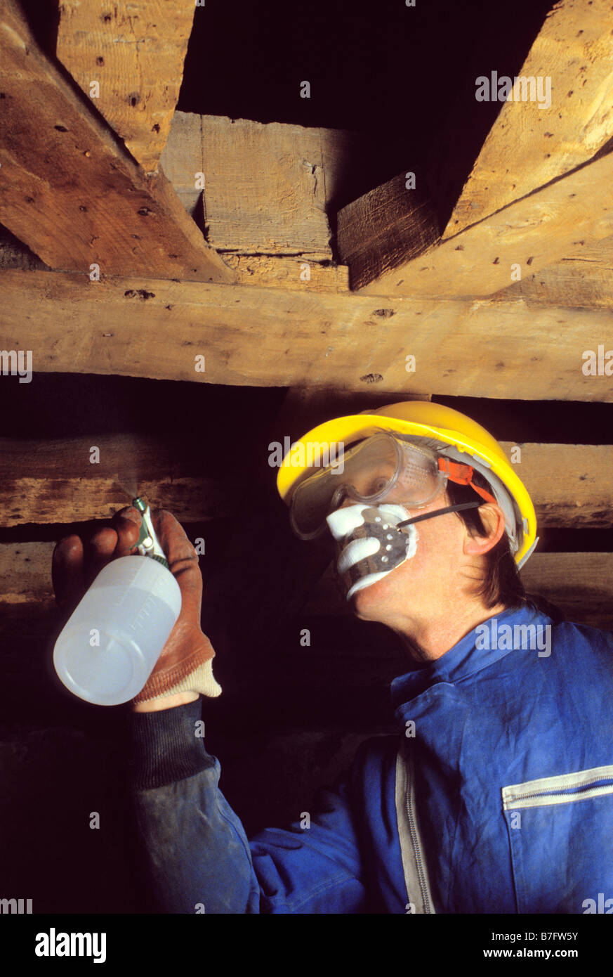 Arbeiter in Schutzkleidung Spritzen Konservierungsmittel auf freiliegenden Holzbalken. Stockfoto