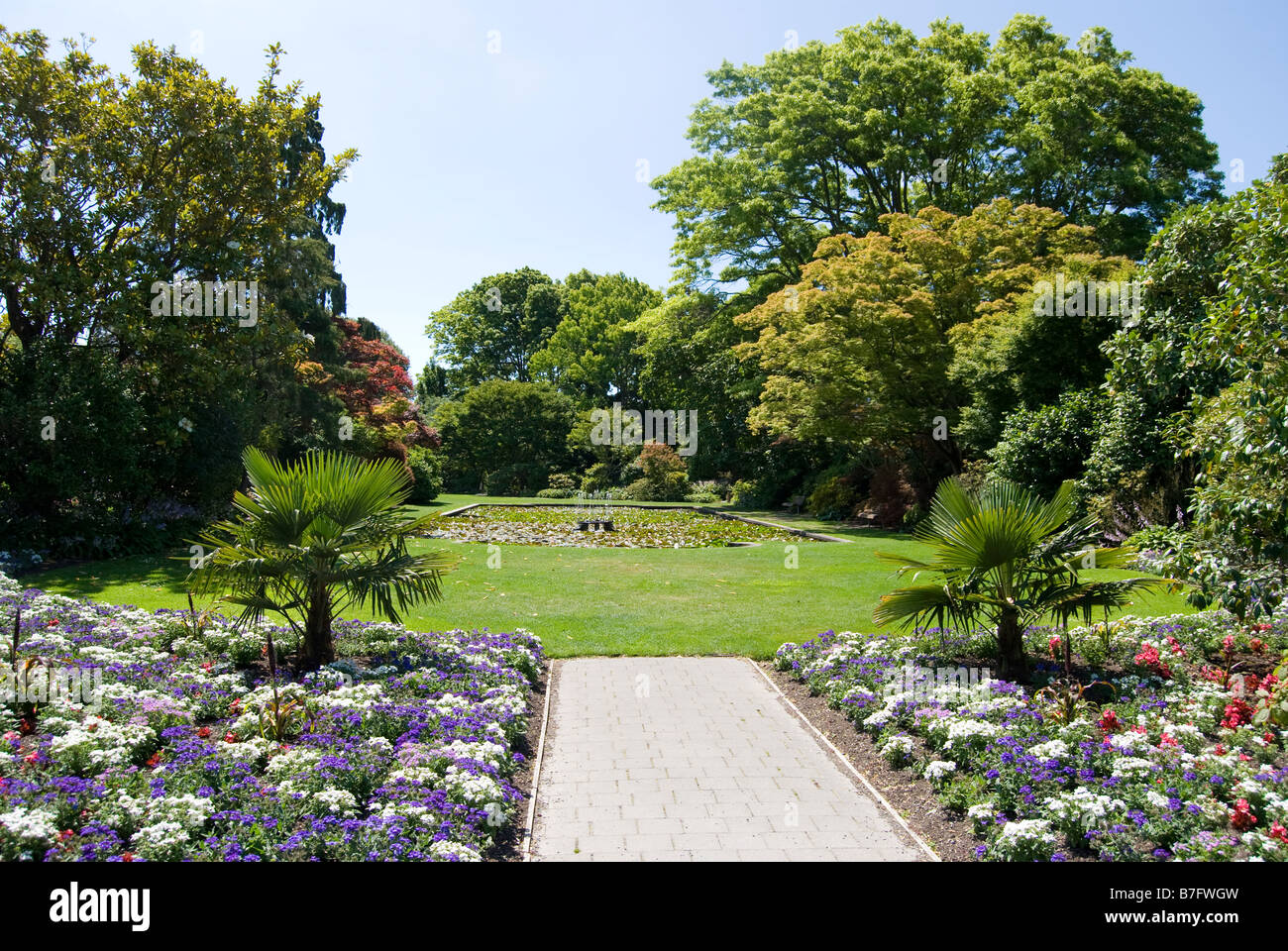 Seerosenteich, Mona Vale Homestead, Fendalton Road, Fendalton, Christchurch, Canterbury, Neuseeland Stockfoto