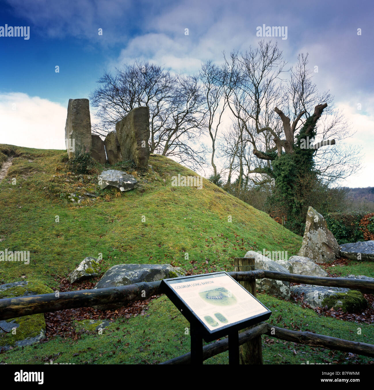 Den Coldrum Steinen, Kammern einer neolithischen Dolmen. Trottiscliffe, Kent, England, UK. Stockfoto