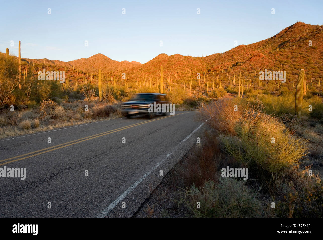 Ein Auto fährt durch Saguaro West National Park auf Kinney Road in der Nähe des Red Hills und in der Nähe von Gould Mine Trail bei Sonnenuntergang Stockfoto