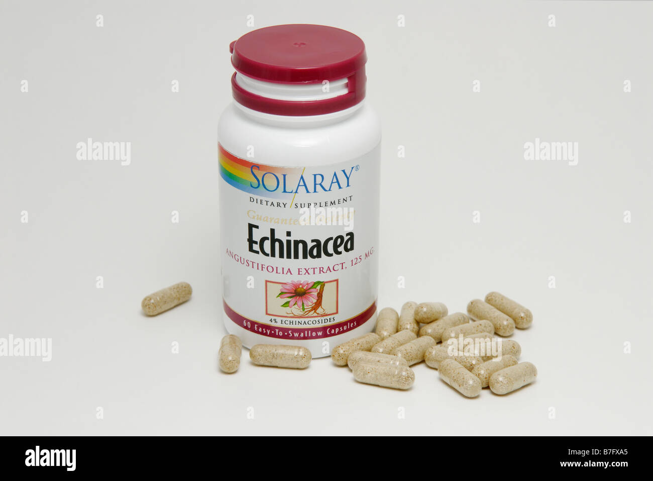 Echinacea Tabletten Kapseln Stockfoto